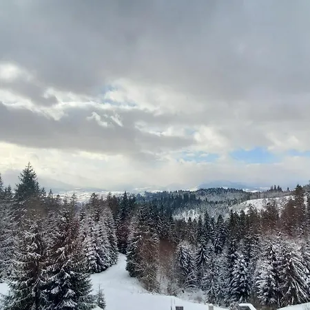 Sofia * Jabłonica
